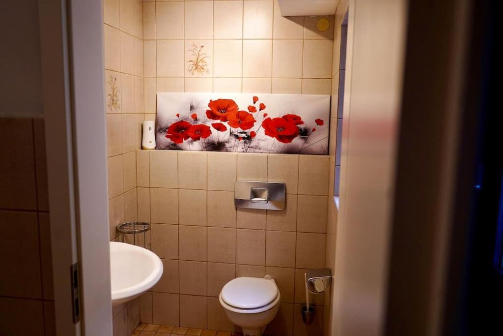 Helle Kellerwohnung Im Gruenen Mit Sauna Kolonia Zewnętrze zdjęcie
